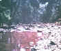 1969 Flood B17